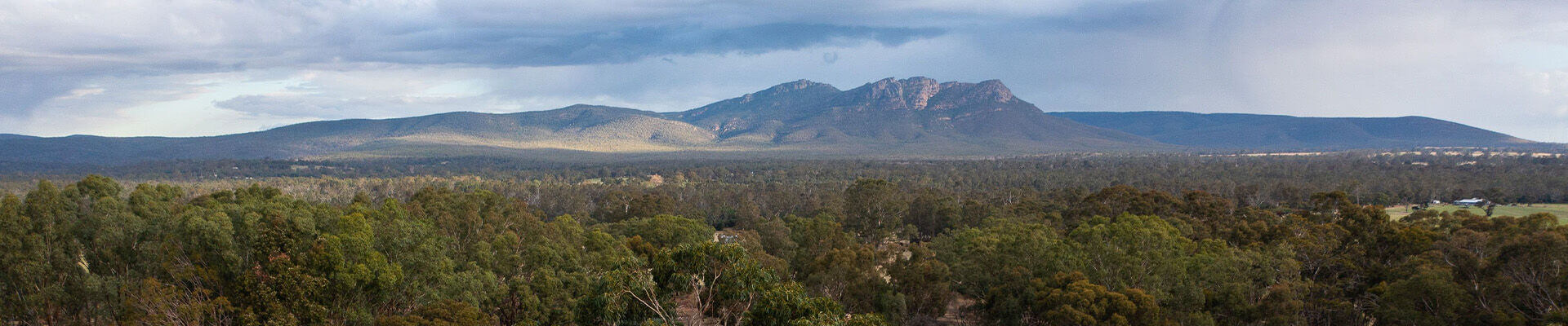 A Peaceful Weekend in the Northern Grampians: Where to Stay, Explore, and Meet Mini Donkeys