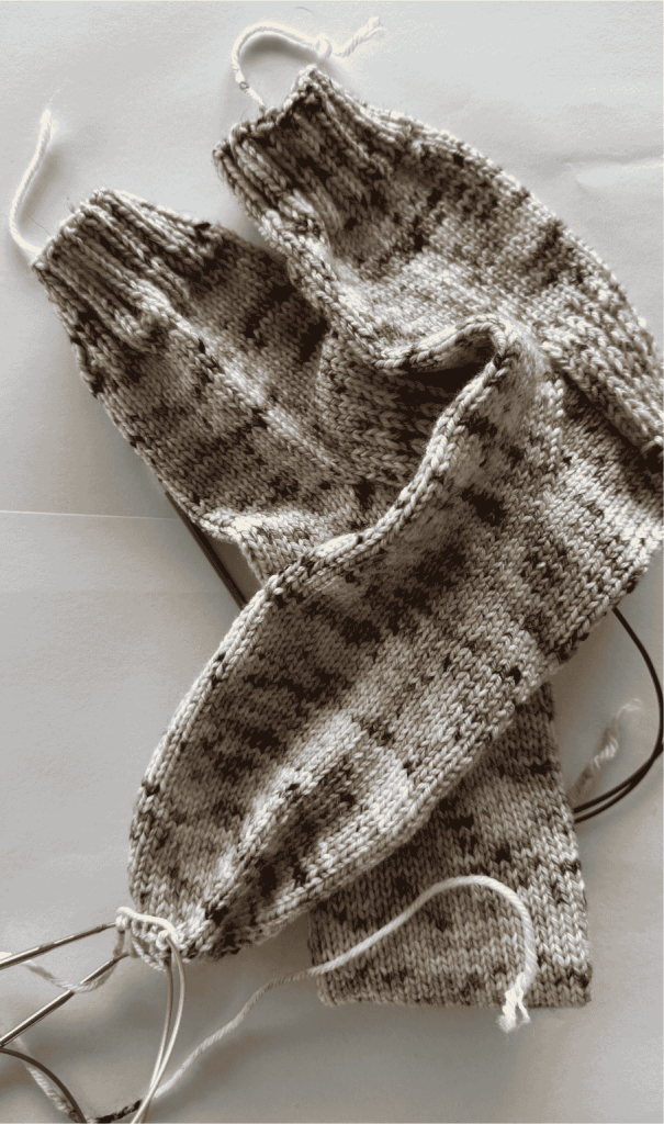 Two hand-knit DK-weight socks in light speckled yarn, in progress on circular needles.