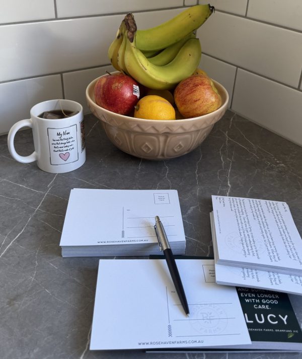 Postcards on bench with a pen, coffee and a bowl of fruit