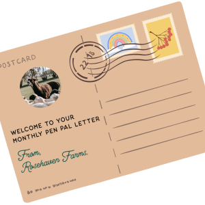 Picture of Postcard Image