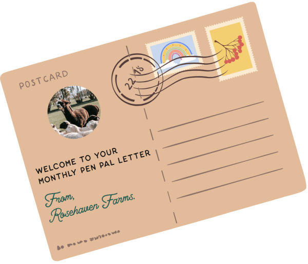 Picture of Postcard Image